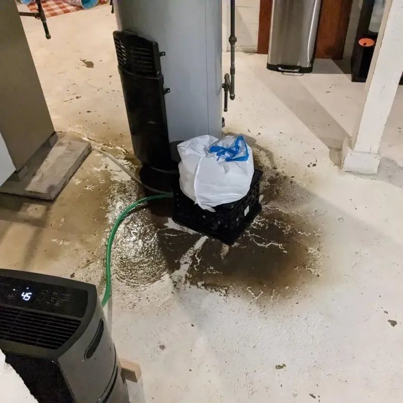 Sewage Backup Cleanup Service in Watonga, OK